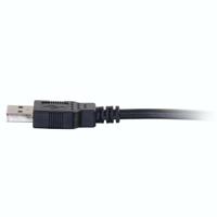 C2G /Cables to Go 28105 USB 2.0 A mannelijk naar A mannelijk kabel (1 meter, zwart) - thumbnail