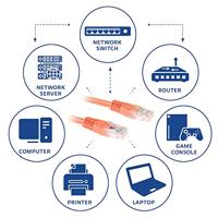 ACT Oranje 20 meter U/UTP CAT6 patchkabel met RJ45 connectoren - thumbnail