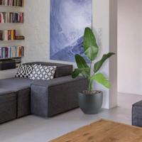 Traveller kunstpalm 100cm Brandvertragend - thumbnail