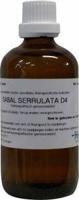 Homeoden Heel Sabal serrulata D4 100 Milliliter - thumbnail