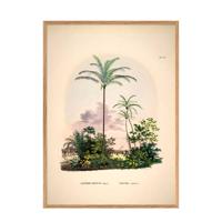 The Dybdahl Co wanddecoratie Astrocaryum Vulgare Cocos Nueifare (30x40 cm) - thumbnail