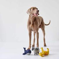 HUNTER Honden knuffel Eiby Walvis, blauw - thumbnail