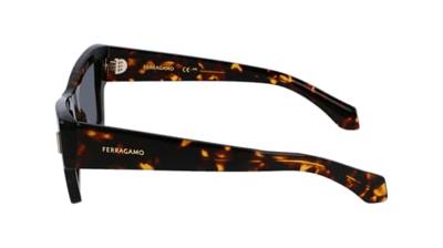 Zonnebril Dames Salvatore Ferragamo SF2006S-242 Ø 53 mm Zonnebril Dames Salvatore Ferragamo SF2006S-242 Ø 53 mm