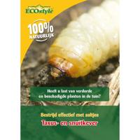 Ecostyle aaltjes tegen larven taxus-kever H 100 m² - thumbnail