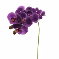 Pure Royal kunsttak phalaenopsis 60cm paars - thumbnail