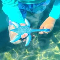 Schleich dinosaurs plesiosaurus 15016 - thumbnail