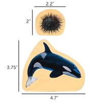 Tickit Houten Blokken Zeeleven - thumbnail