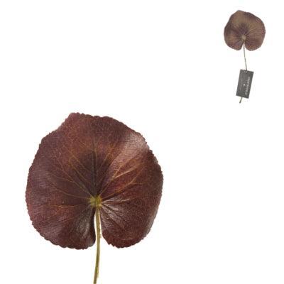 Countryfield kunstblad jay s 22 cm | 120 stuks