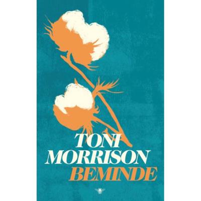 Beminde (Hardback) Beminde (Hardback)