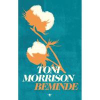 Beminde (Hardback) - thumbnail