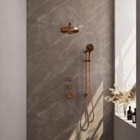 BRAUER Stripe Thermostatische Inbouw Regendouche - SET 10 - 25cm douchekop - rechte muurarm - 3-standen handdouche - doucheslang - geïntegreerde glijstang - koper geborsteld PVD 5-GK-383 - thumbnail