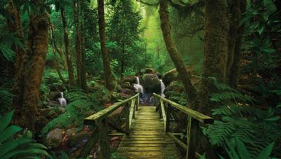 Sprookje 130x70cm Tuinschilderij Customize-it - Customize it