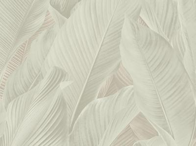 Dutch Tahiti - Banya creme - 13305