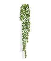 Senecio Pearl kunst hangplant 55cm - thumbnail