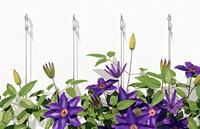 Fischer 524870 Gasbetondeuvel 8 mm 20 stuk(s) - thumbnail