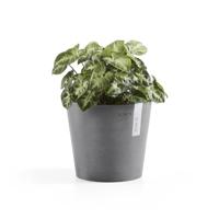 Ecopots bloempot Amsterdam Mini Ø17cm - Grijs - thumbnail
