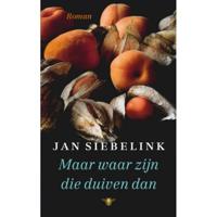 Jan  Siebelink Maar waar zijn die duiven dan - thumbnail