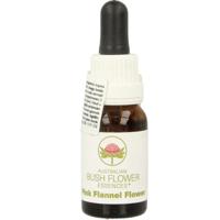Australian Bush Pink flannel flower 15 Milliliter - thumbnail