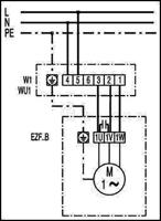Maico Ventilatoren Maico Wandventilator - thumbnail