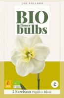 Bio narcis papillon blanc 5bollen - thumbnail