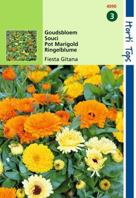 Calendula Officinalis Fiesta Gitana Gemengd - Hortitops