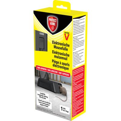 Muizenval Elektronisch 1st