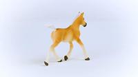 Schleich horse club halflingerveulen 13951 - thumbnail