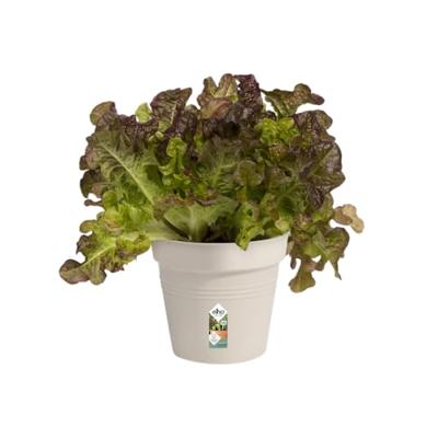 Elho Green Basics Kweekpot Mild Terra Ø13cm - thumbnail