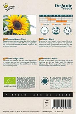 Zaden Organic Helianthus Reuzenzonnebloem giganteus (BIO) Buzzy - Buzzy