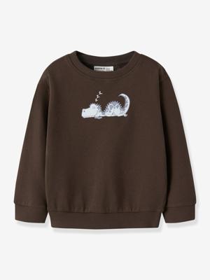 NMMVILDAR sweater voor jongens NAME IT chocoladebruin