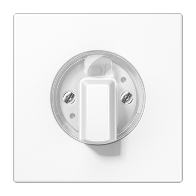 Jung LS990 inzetplaat met draaiknop voor draai tijdschakelaars LS941WW