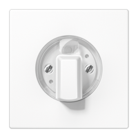 Jung LS990 inzetplaat met draaiknop voor draai tijdschakelaars LS941WW - thumbnail