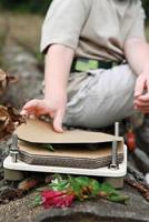 Small Foot - houten bloemenpers discover - thumbnail