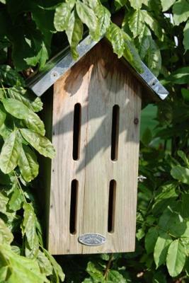 Vlinderkast Esschert Design - Best for birds - thumbnail