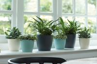 Elho pot brussels rond d16cm wit - thumbnail