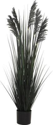 Siergras in pot 122 cm zwart Hortus - Hortus Siergras in pot 122 cm zwart Hortus - Hortus