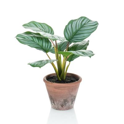 Emerald kunstplant in pot terra calathea orbifolia 32 cm