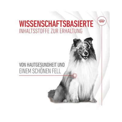 Royal Canin Skin & Coat Chews voedingssupplement hond 240 g - thumbnail