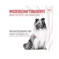 Royal Canin Skin & Coat Chews voedingssupplement hond 2 x 240 g - thumbnail