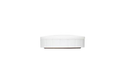 MAUL magneet Solid, 32 mm, trekkracht 800 gr, doos van 10 stuks, wit