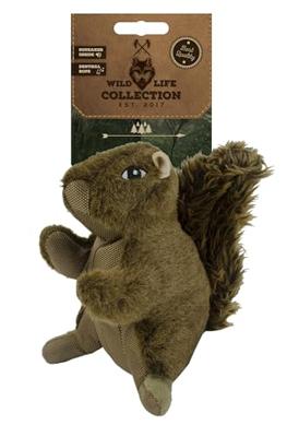 Wild Life Dog Squirrel (Eekhoorn) Wild Life Dog Squirrel (Eekhoorn)