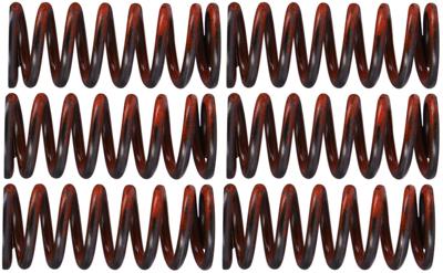 TRW koppelingsveren set clutch spring kit mef325-6
