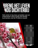 Canon RF 75-300mm f/4-5.6 - thumbnail