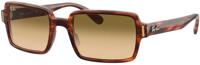Ray-Ban zonnebril Benji 0RB2189 bruin - thumbnail