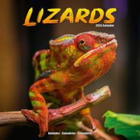 Lizards Calendar 2026 Square Animal Wall Calendar - 16 Month - thumbnail