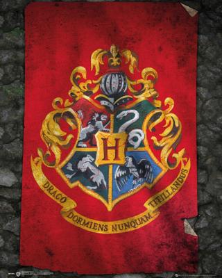 Harry Potter Zweinstein Vlag Poster 40x50cm Harry Potter Zweinstein Vlag Poster 40x50cm