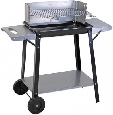 Barbecue rechthoekig 49x32 cm