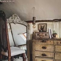 Lampfitting E27 Hout | Boomstam - Extra Lang | Creative-Cables | Lamp kopen | Fitting kopen | Creative-Cables | Lamp kopen | Fitting kopen | Creative- - thumbnail