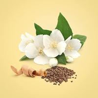 Calvin Klein Beauty Eau de parfum Spray 100 ml Dames - thumbnail