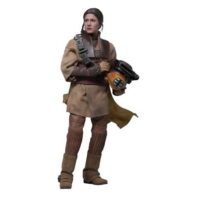 Star Wars Episode VI Movie Masterpiece Action Figure 1/6 Leia Organa (Boushh Disguise) 27 cm Star Wars Episode VI Movie Masterpiece Action Figure 1/6 Leia Organa (Boushh Disguise) 27 cm